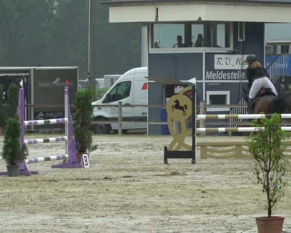 Hippisch Toernooi Metelen 2026