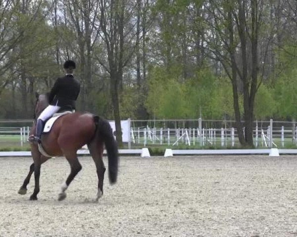 Greven Bockholt 2015