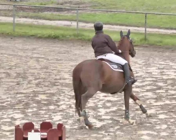 Leutkirch-Diepoldshofen 2015