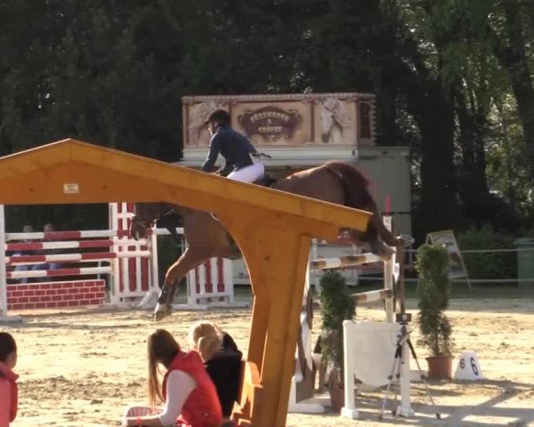 Greven Bockholt 2015