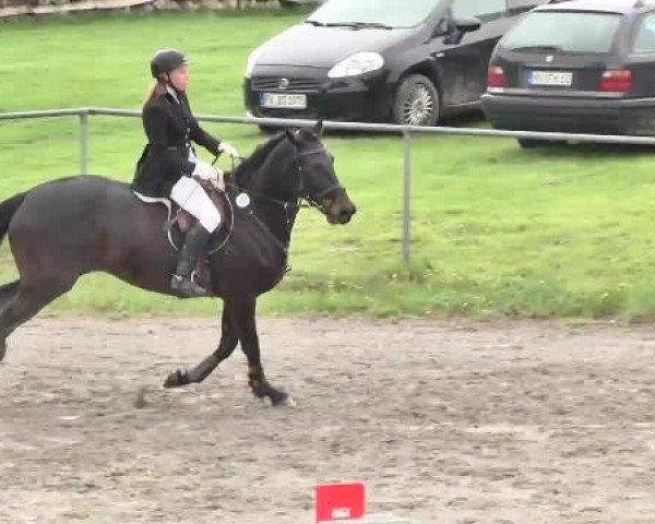 Leutkirch-Diepoldshofen 2015