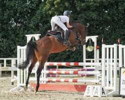 jumper Hello Kitty (Holsteiner, 2015, from Conway II)