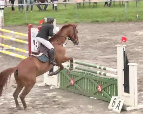 Leutkirch-Diepoldshofen 2015