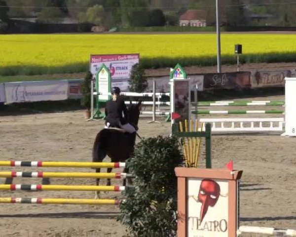 Reitturnier Xanten - Moermter 2015