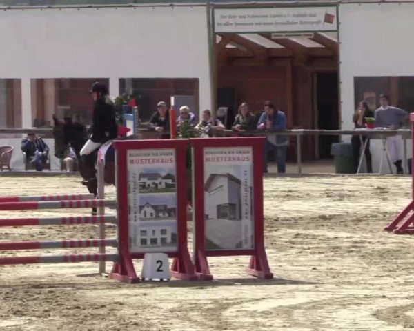 Reitturnier Xanten - Moermter 2015
