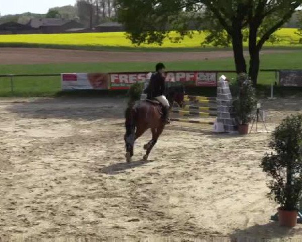 Reitturnier Xanten - Moermter 2015