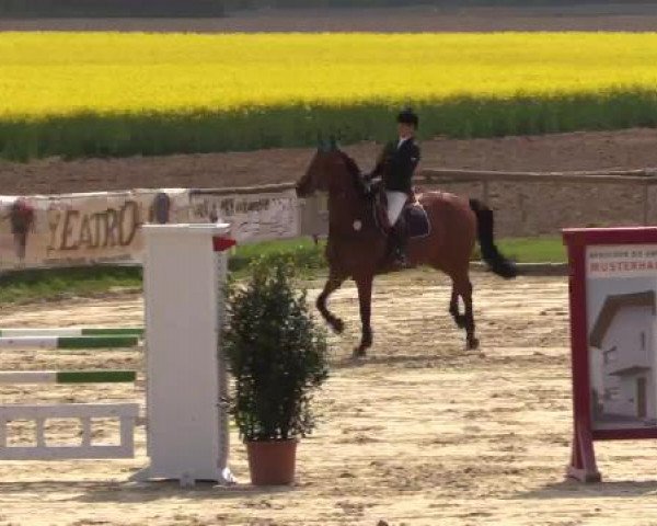 Reitturnier Xanten - Moermter 2015