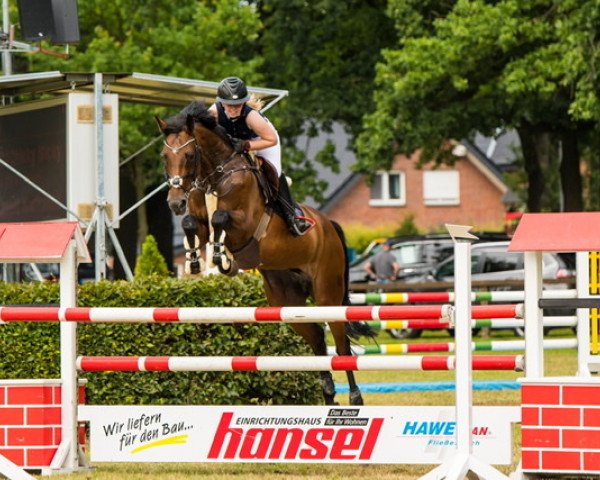 jumper Chicky Micky 7 (KWPN (Royal Dutch Sporthorse), 2011, from Hos D'O)