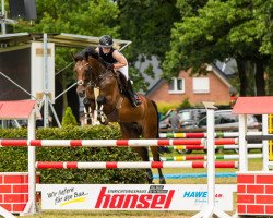 Springpferd Chicky Micky 7 (KWPN (Niederländisches Warmblut), 2011, von Hos D'O)