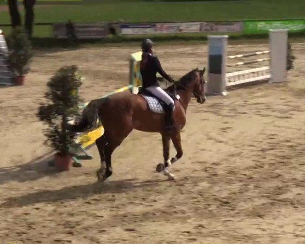 Reitturnier Xanten - Moermter 2015