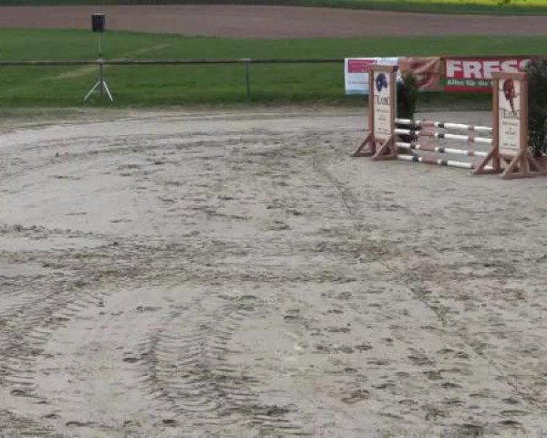 Reitturnier Xanten - Moermter 2015