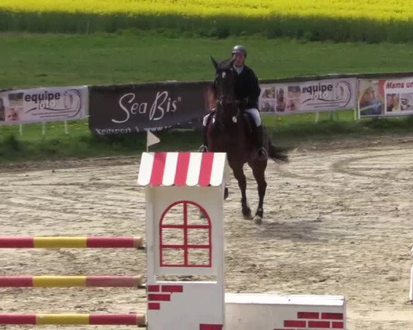 Reitturnier Xanten - Moermter 2015