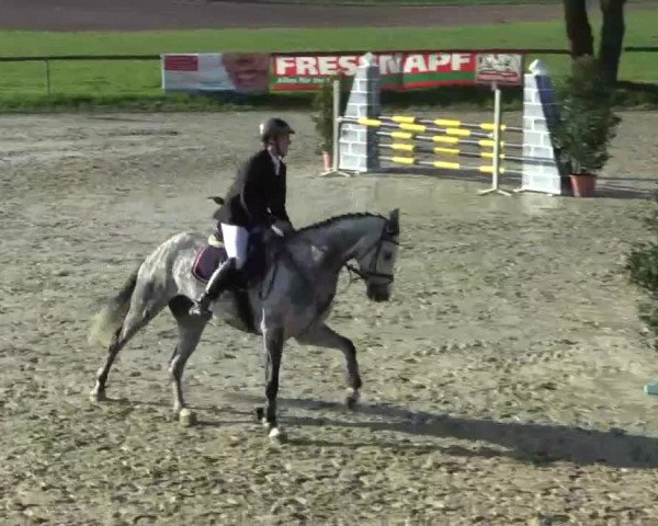 Reitturnier Xanten - Moermter 2015