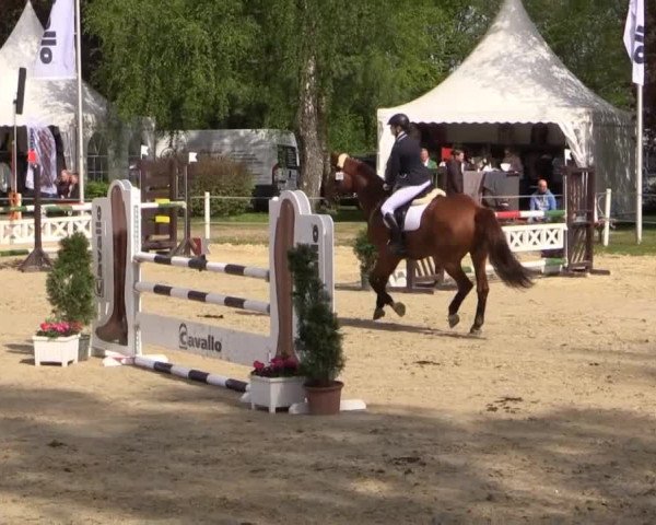 Greven Bockholt 2015