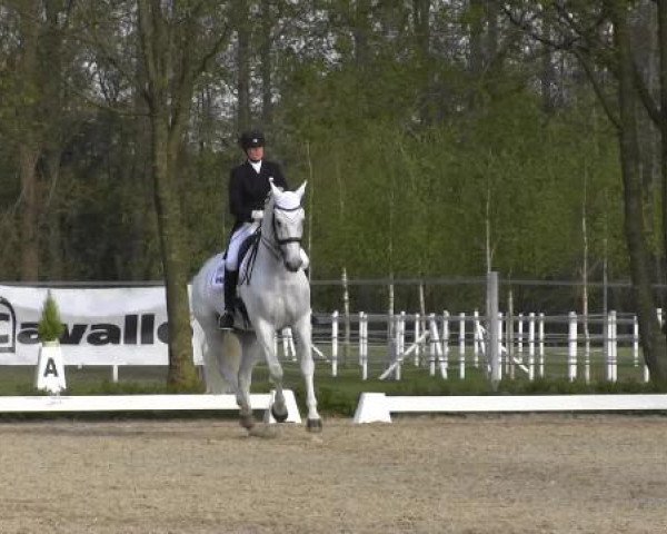 Greven Bockholt 2015