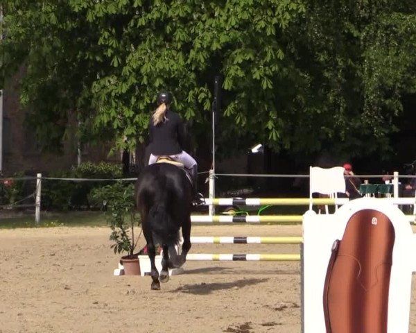 Greven Bockholt 2015