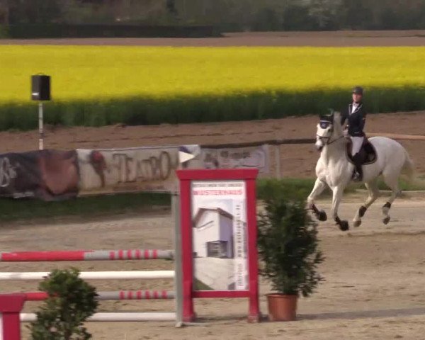 Reitturnier Xanten - Moermter 2015
