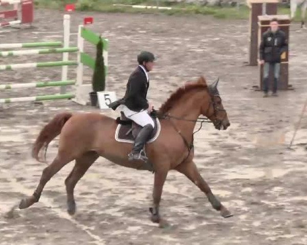 Leutkirch-Diepoldshofen 2015