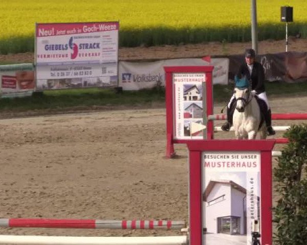 Reitturnier Xanten - Moermter 2015