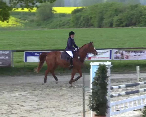 Reitturnier Xanten - Moermter 2015