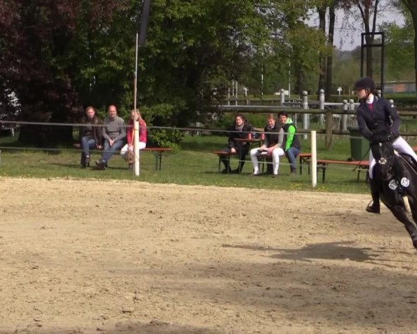 Greven Bockholt 2015