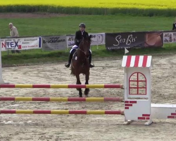 Reitturnier Xanten - Moermter 2015