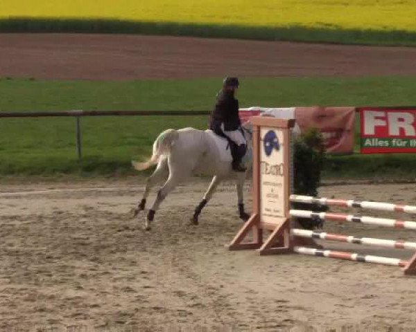Reitturnier Xanten - Moermter 2015