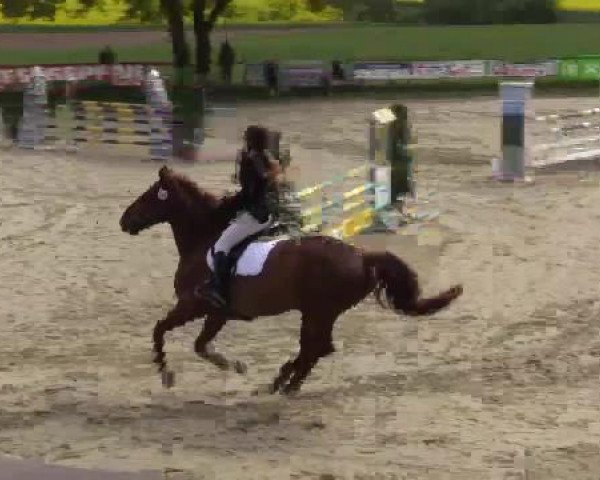 Reitturnier Xanten - Moermter 2015