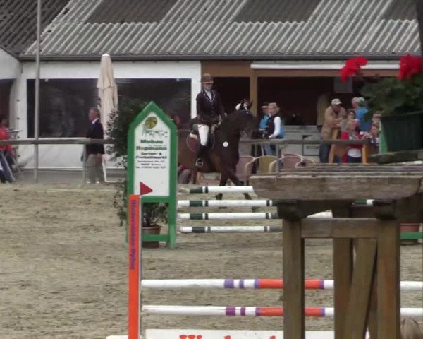 Reitturnier Xanten - Moermter 2015