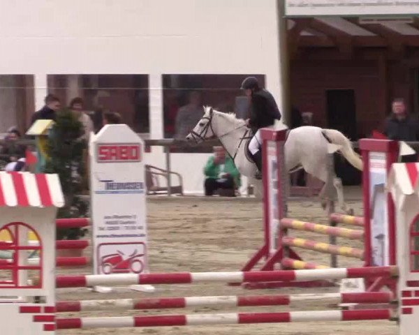 Reitturnier Xanten - Moermter 2015