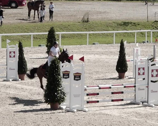 Pferdesporttage Bülach 2021
