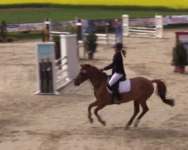 Reitturnier Xanten - Moermter 2015