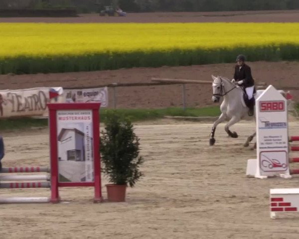 Reitturnier Xanten - Moermter 2015