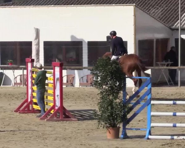 Reitturnier Xanten - Moermter 2015