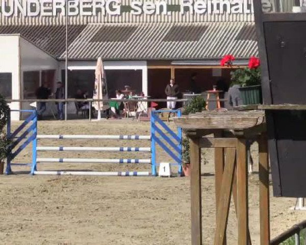 Reitturnier Xanten - Moermter 2015