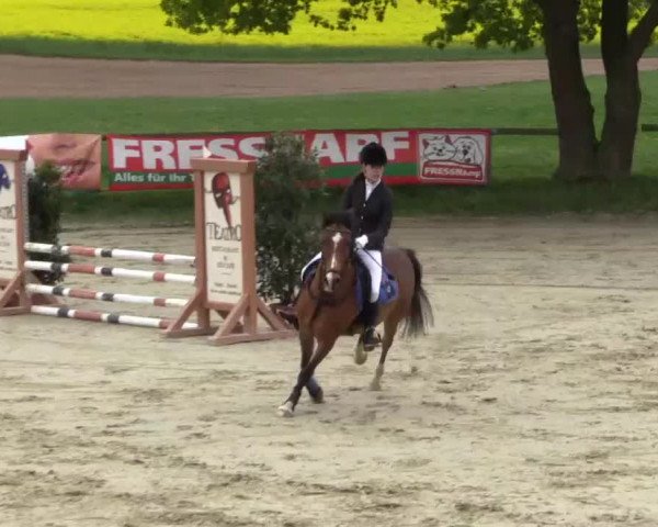Reitturnier Xanten - Moermter 2015