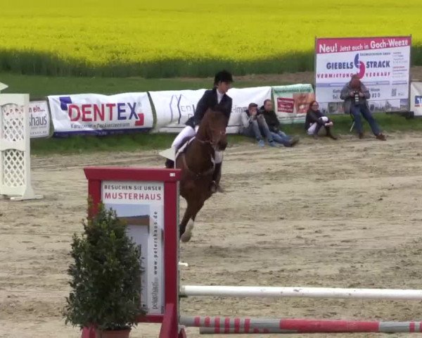 Reitturnier Xanten - Moermter 2015