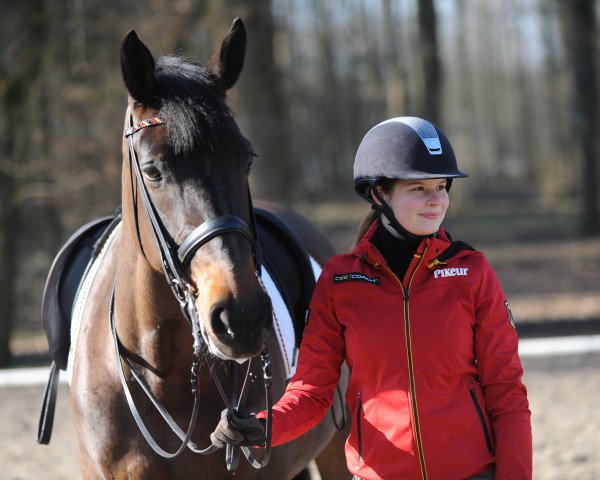 dressage horse Rue Noblesse (Hanoverian, 2004, from Rosentau)