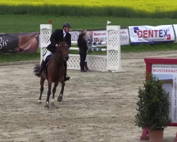 Reitturnier Xanten - Moermter 2015