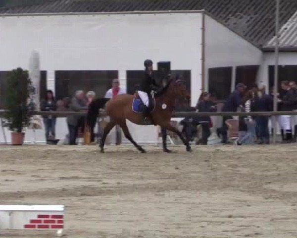 Reitturnier Xanten - Moermter 2015