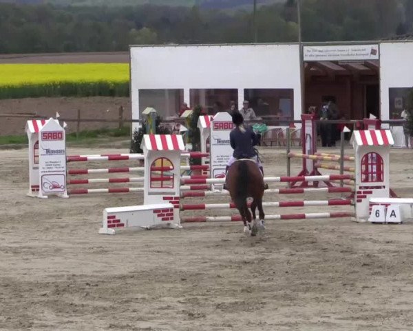 Reitturnier Xanten - Moermter 2015