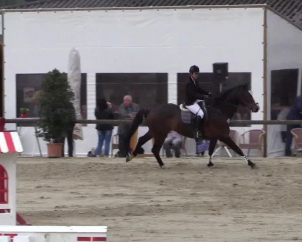 Reitturnier Xanten - Moermter 2015