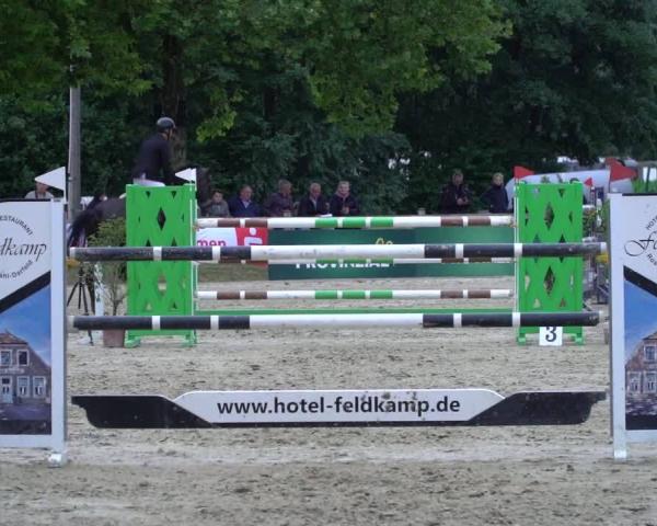 Equestrian Show Metelen 2026
