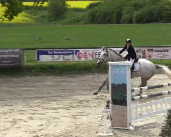 Reitturnier Xanten - Moermter 2015