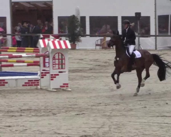 Reitturnier Xanten - Moermter 2015