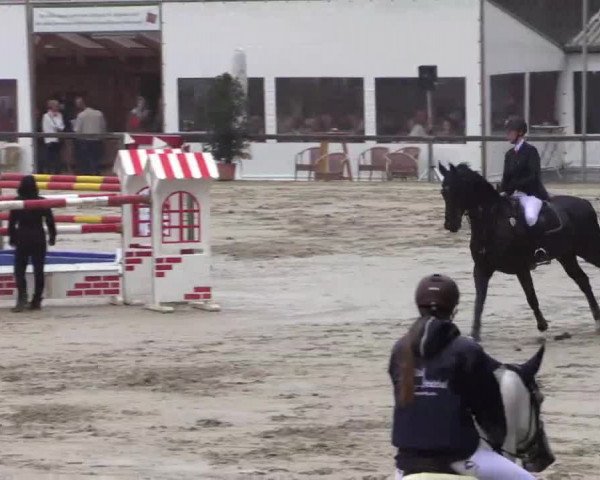 Reitturnier Xanten - Moermter 2015