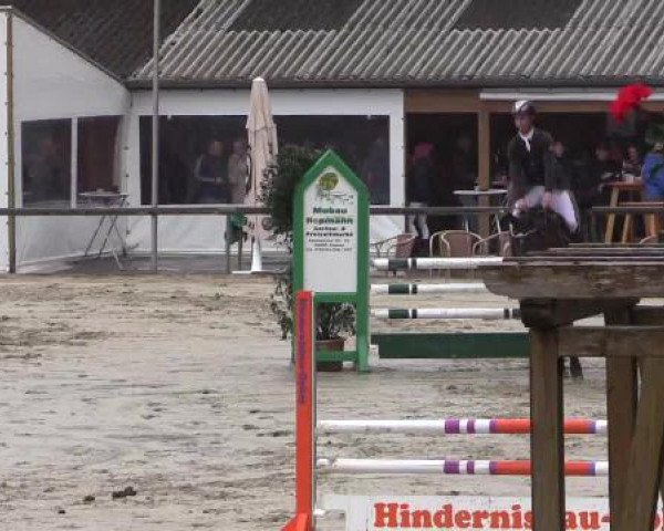 Reitturnier Xanten - Moermter 2015