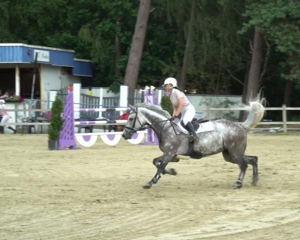 Torneio Equestre Metelen 2026