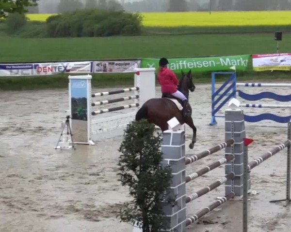 Reitturnier Xanten - Moermter 2015