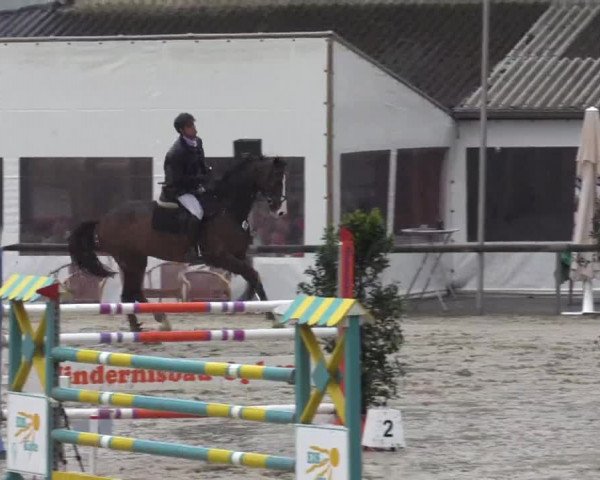 Reitturnier Xanten - Moermter 2015